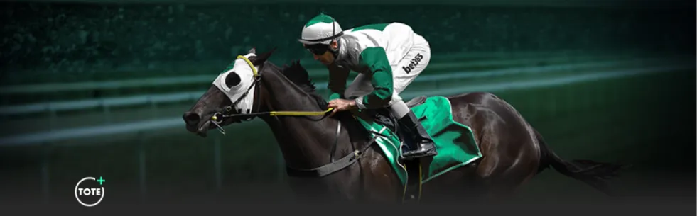 戈登力挺国,家队,力争欧洲杯,Bet365比分,实时比分,体育赛事,赛事直播,比分查询,体育平台