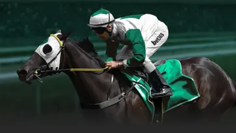 戈登力挺国家队，力争欧洲杯德国之旅